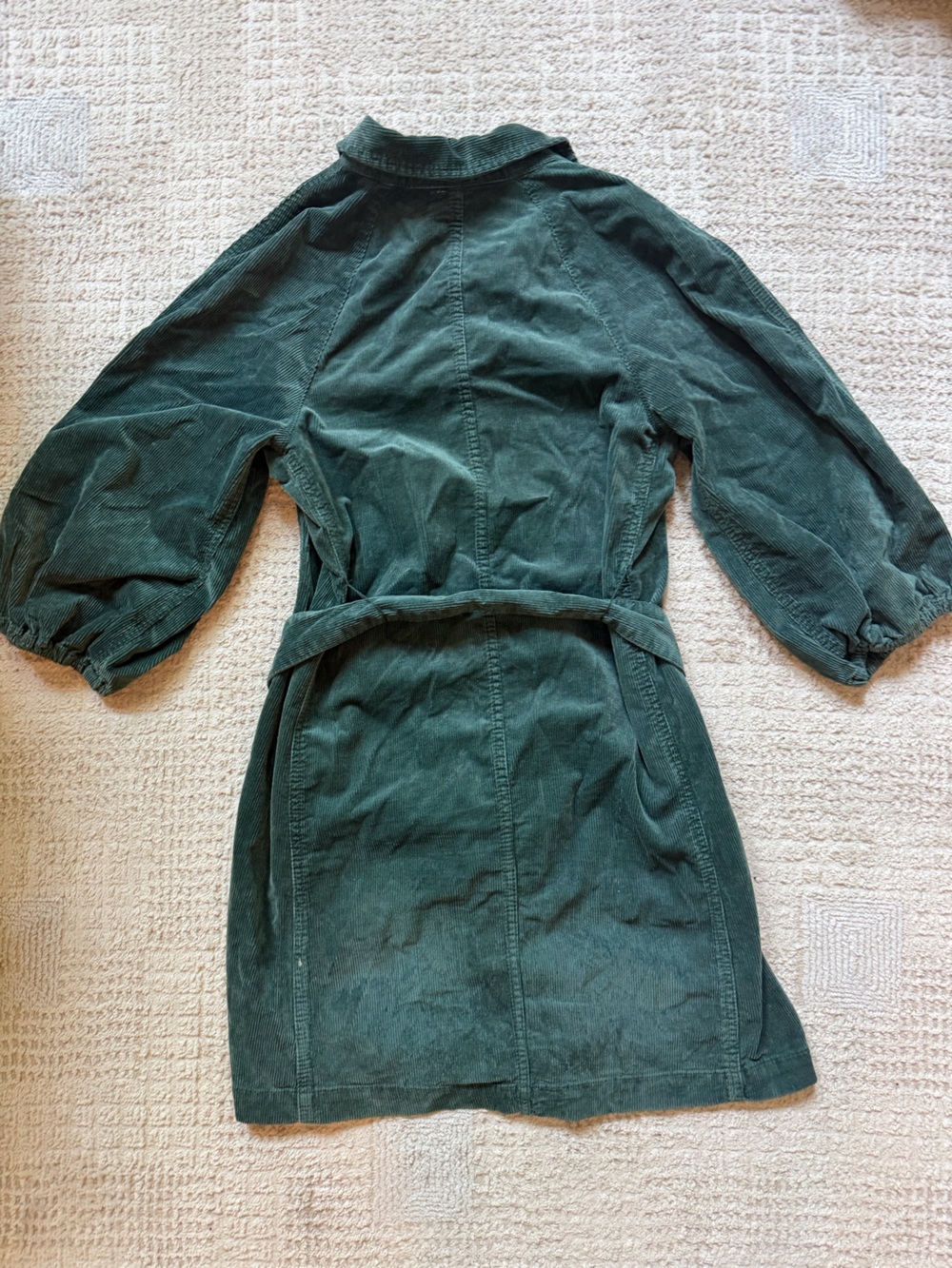 Pilcro Forest Green Corduroy Button-Front Shirt Dress with Belt size 6 - Picture 2 of 6